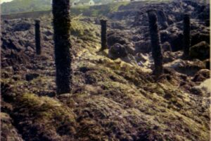 pier stanchions 7 pier stanchions 7